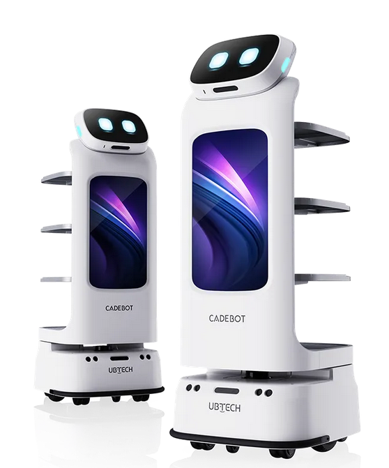 UBTECH CADEBOT L100