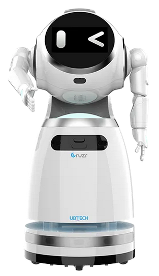 Cruzr 1S robot platform